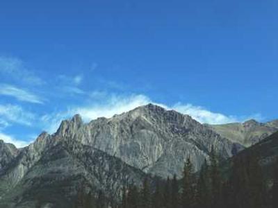 What would it take to rebuild economics around the natural world?