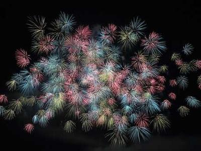 Extreme heat is driving dramatic declines in tropical birds