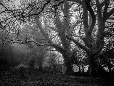 Exclusive: Climate scientists expect attempts to dim the sun by 2100