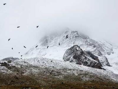 COP30: What’s on the agenda at the Belém climate summit