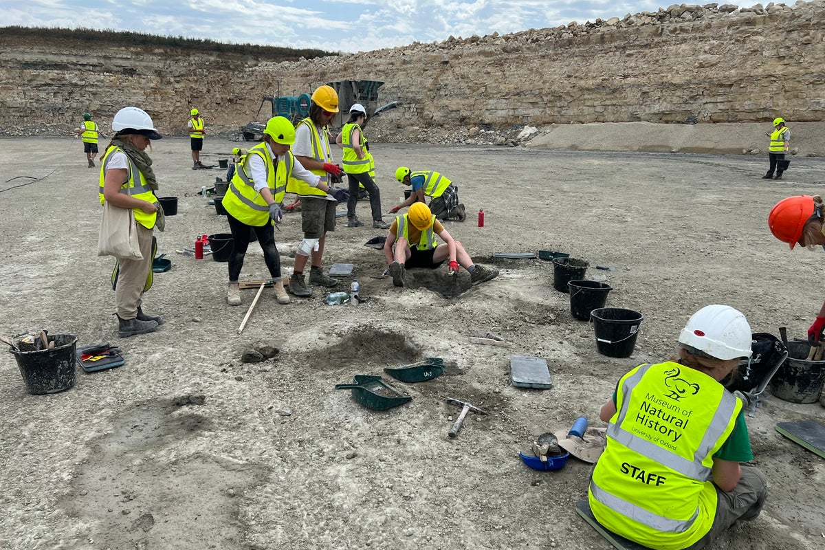 Dinosaur footprints from 166 million years ago discovered in UK quarry