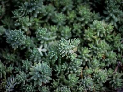 We are undergoing unprecedented loss of freshwater across the planet