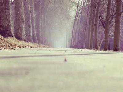 1500 deaths in the recent European heatwave were due to climate change