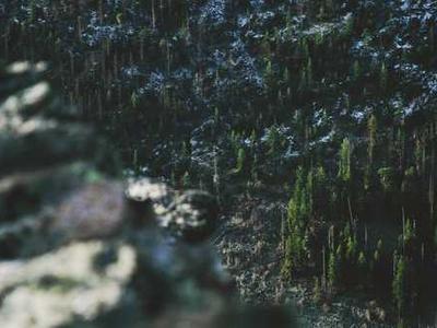 Australia is getting free electricity - will other countries follow?