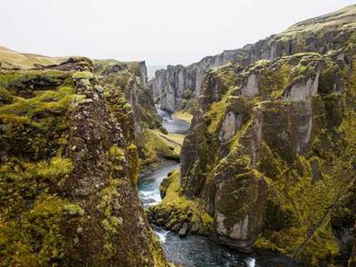How to tackle environmental issues when the world can't agree