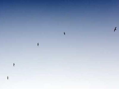 Could we have cracked one of the world's toughest climate problems?