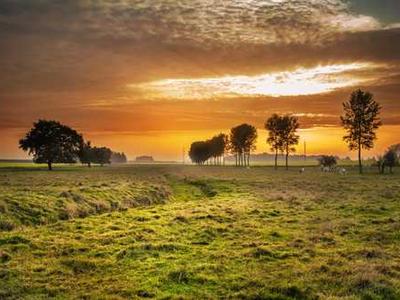 Are farmed oysters, mussels and clams the ultimate green foods?