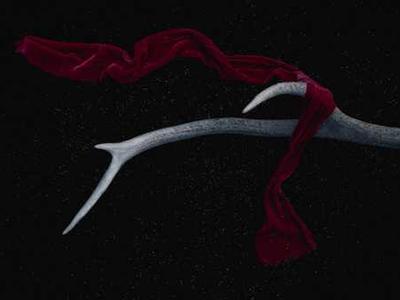 Australia is getting free electricity - will other countries follow?