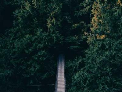 COP30: What’s on the agenda at the Belém climate summit