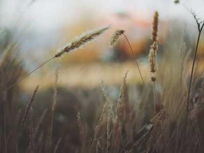 Solar energy is going to power the world much sooner than you think