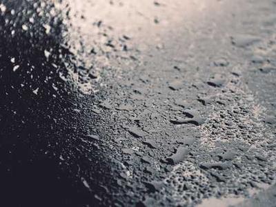 Trees may be getting more flammable because of climate change