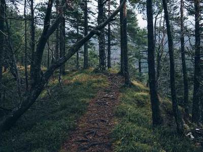 The colour of your car has a big impact on urban heat