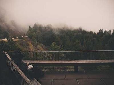 Ranching and farming have eroded almost all the soil in the Alps